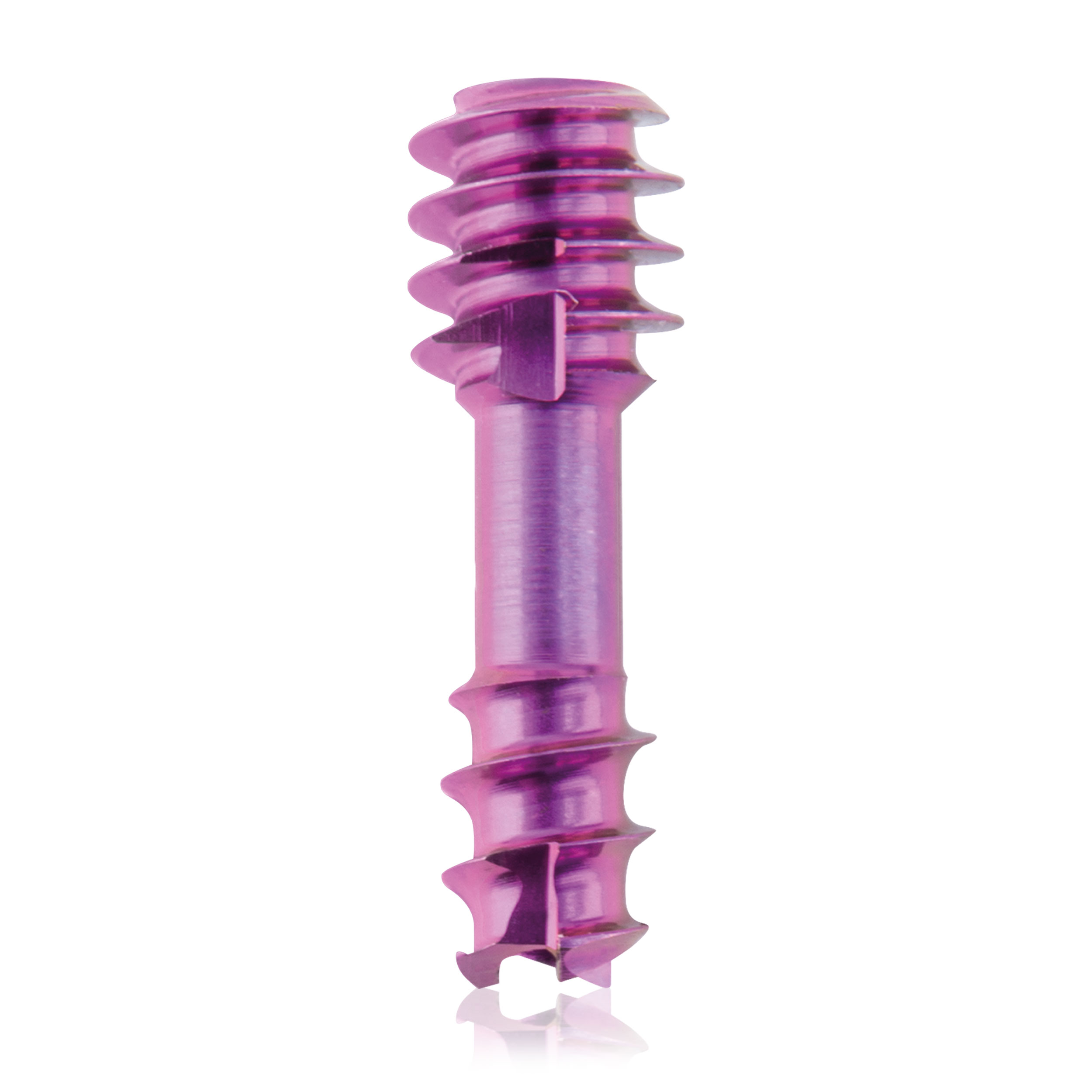 L = 10mm